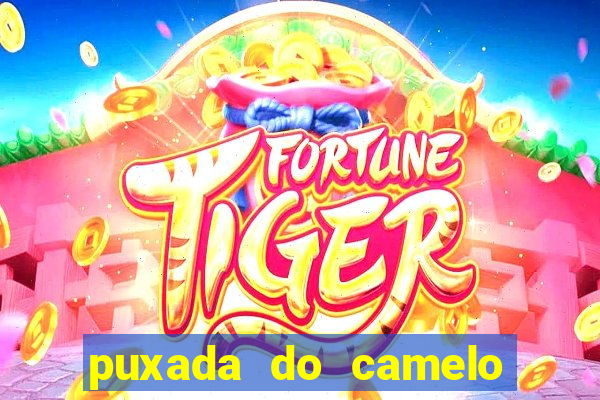 puxada do camelo no jogo do bicho